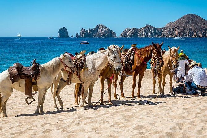 Cabo San Lucas Beach and Desert Horseback Ride - What to Wear and Bring: The Comfort Checklist That Saves Your Ride