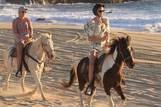 Cabo San Lucas Beach and Desert Horseback Ride - How the Stops Feel: Playa Migrino to Beach to Back Again