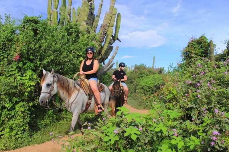 Cabo San Lucas: Beach & Desert Horseback Riding Tour - From pickup to ride: how the timing usually works