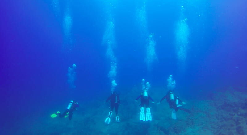 Cabo San Lucas: Beginners Diving Experience w/ Water & Snack - Instructor + Small Group = Better Learning Attention
