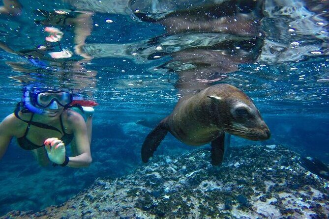 Cabo San Lucas Boat Tour and Snorkel at Pelican Rock - The Cabo mix: views first, then Pelican Rock snorkeling