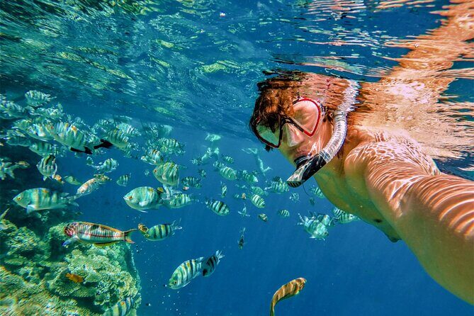 Cabo San Lucas Boat Tour with Snorkeling, Open Bar, and Lunch - Who should book this Cabo boat tour (and who should skip it)