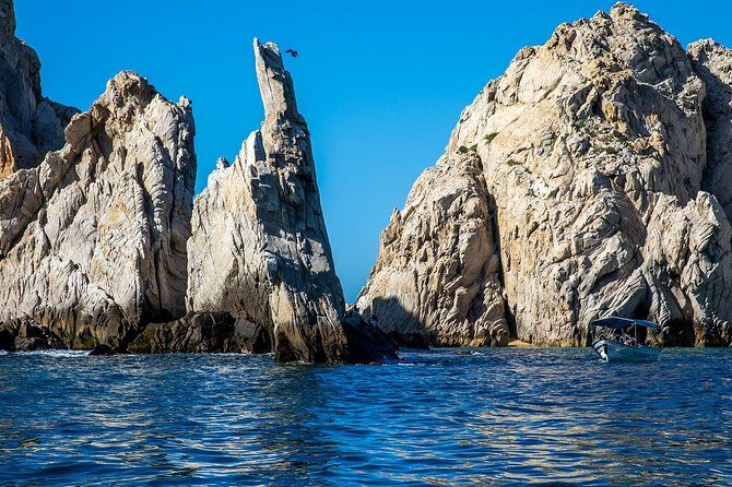 Cabo San Lucas Boat Tour - The glass-bottom expectation: what you can realistically see
