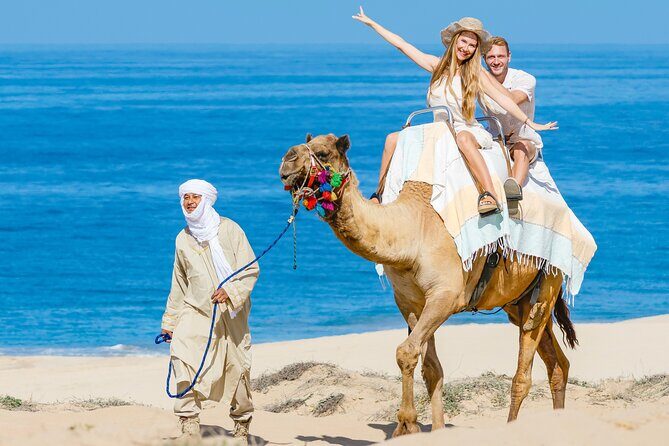Cabo San Lucas Camel and Horseback Ride with ATV Adventure - Price and value: what $175 covers, and what comes extra