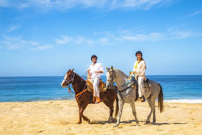 Cabo San Lucas Camel and Horseback Ride with ATV Adventure - Cactus Park stop: check-in, briefing, and a photo window
