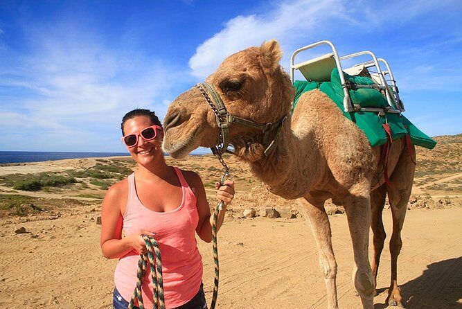 Cabo San Lucas Camel Ride and Encounter on Beach and Desert - Key moments that make this tour worth a look