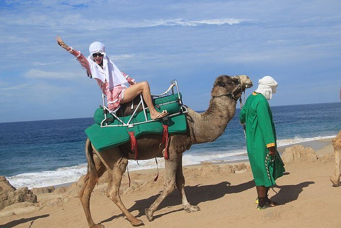 Cabo San Lucas Camel Ride and Encounter on Beach and Desert - Cabo San Lucas Camel Ride: a 4-part day that’s built for convenience