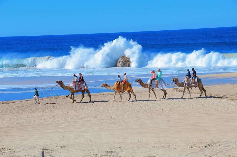 Cabo San Lucas: Camel Ride & Off-Road UTV Combo Adventure - Key points before you go