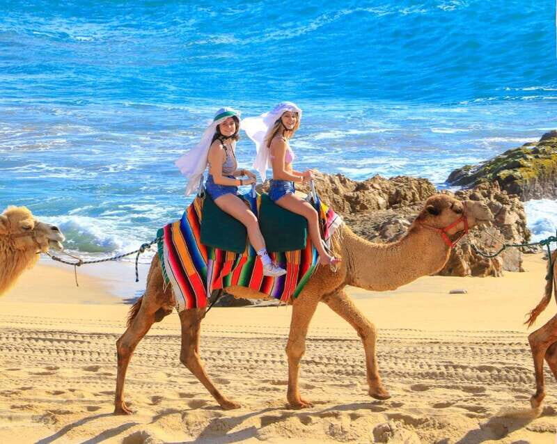 Cabo San Lucas: Camel Ride & Off-Road UTV Combo Adventure - Who This Cabo Combo Is Best For