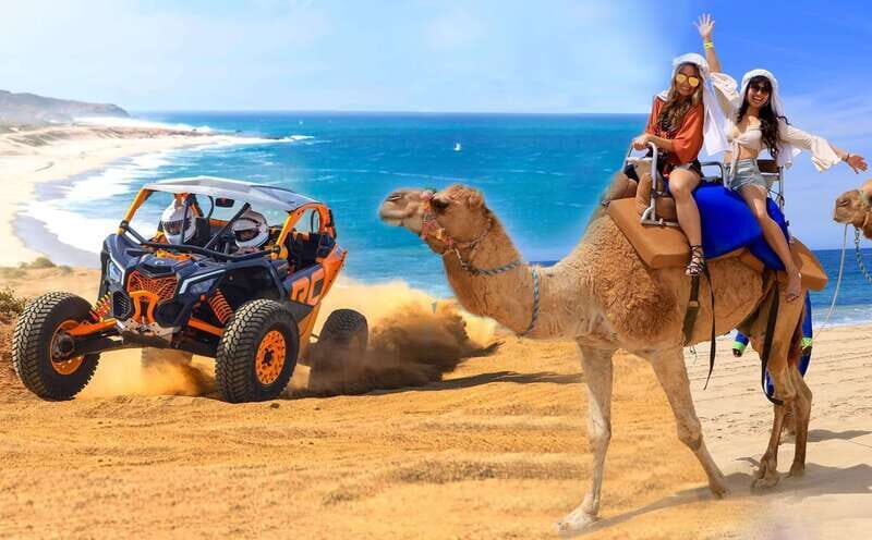 Cabo San Lucas: Camel Ride & Off-Road UTV Combo Adventure - Cabo San Lucas Camel and UTV: A 3-Hour Mix That Actually Makes Sense