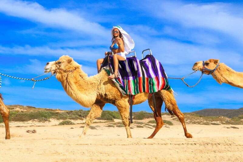 Cabo San Lucas: Camel Ride & Off-Road UTV Combo Adventure - UTV Through Baja Desert Trails: Driving the Fun Portion