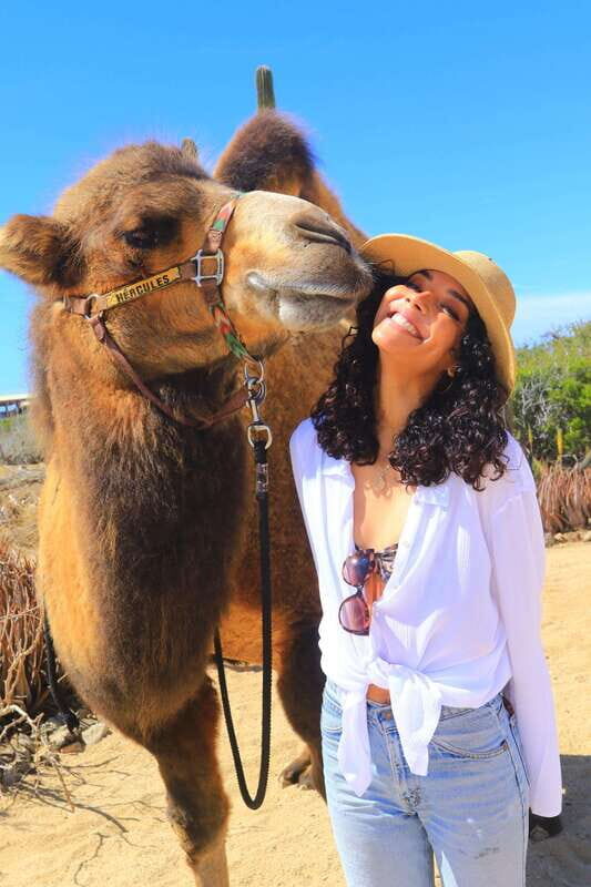 Cabo San Lucas: Camel Ride & Off-Road UTV Combo Adventure - Migriño Beach Dunes and Ocean-Side Cliffs: The Payoff Stop