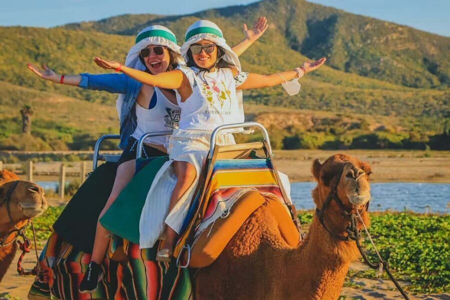 Cabo San Lucas: Camel Ride on the Beach - Cabo Desert Meets the Pacific: What the Migriño Beach Eco-Park Feels Like