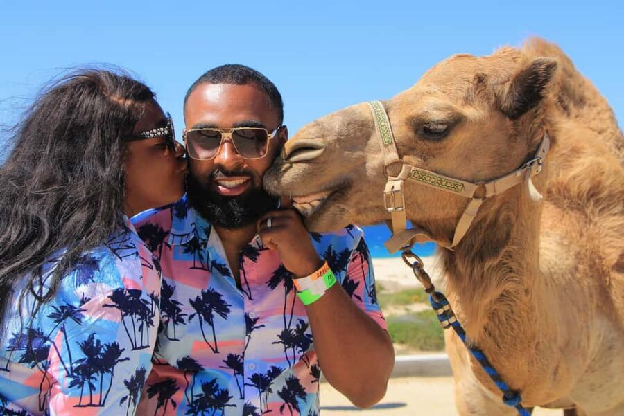 Cabo San Lucas: Camel Ride on the Beach - Mexican Buffet and Tequila Museum: Where the Experience Turns Social