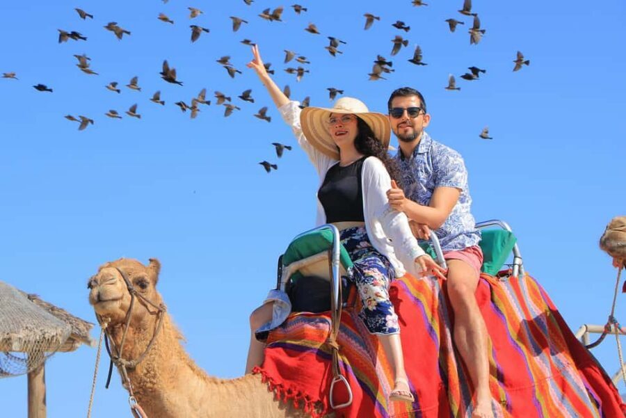 Cabo San Lucas: Camel Ride on the Beach - My Practical Recommendation: Should You Book Cabo Camel Ride at Migriño Beach?