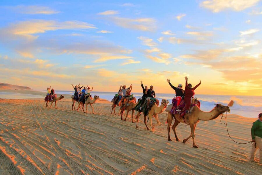 Cabo San Lucas: Camel Ride on the Beach - Camel Ride Portion: Instructions First, Then Feeding and Hugging