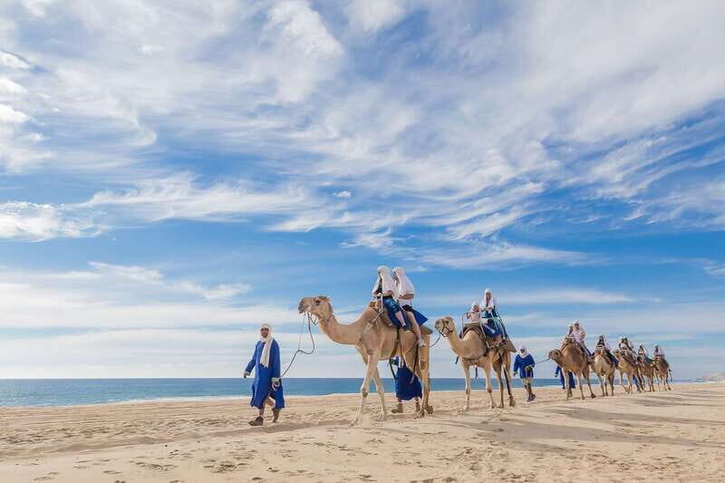 Cabo San Lucas: Camel Safari Tour with Lunch and Tequila - Key things to know before you go
