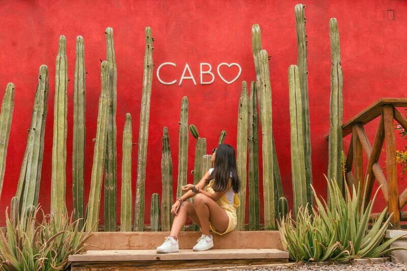 Cabo San Lucas: Camel Safari Tour with Lunch and Tequila - The best part: a camel safari with real ocean views