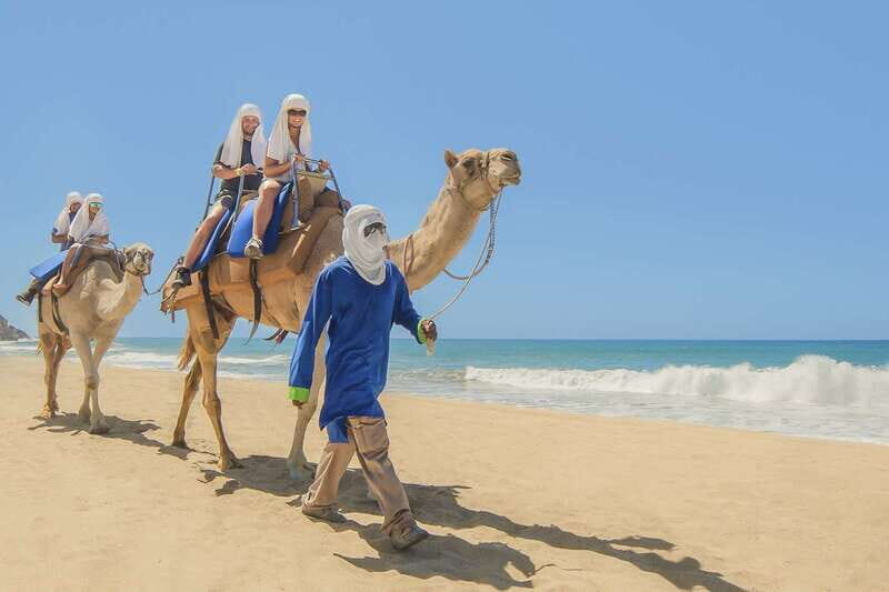 Cabo San Lucas: Camel Safari Tour with Lunch and Tequila - The desert walk: quick hiking + turtle-breeding area context
