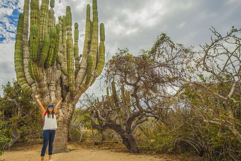 Cabo San Lucas: Camel Safari Tour with Lunch and Tequila - Price and value: the $99 ticket vs the real total
