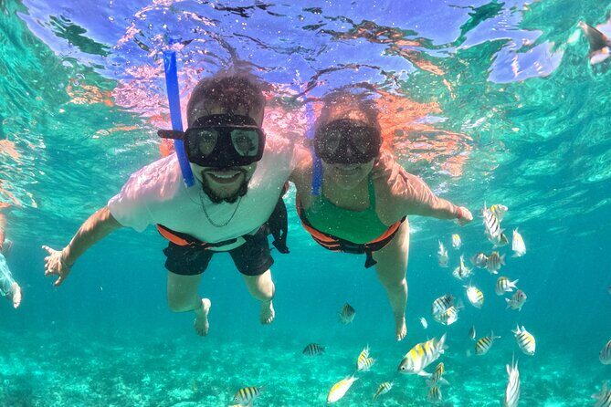 Cabo San Lucas Catamaran Cruise: Snorkel or Sunset Adventure - Cabo San Lucas Catamaran Cruise: The 3-Hour Reality Check