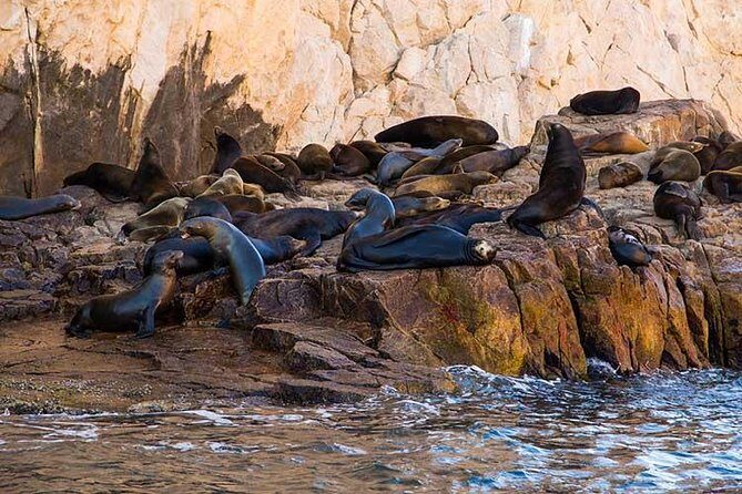 Cabo San Lucas city tour and amazing sea adventure to Lands End! - Dock fees: the one detail that can feel annoying
