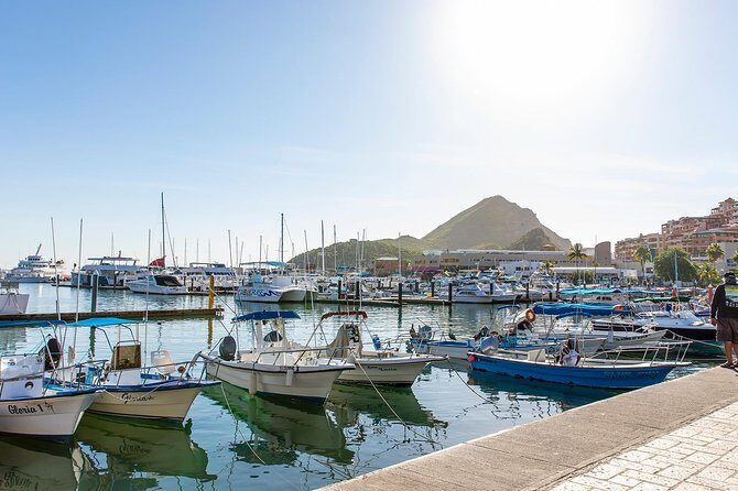 Cabo San Lucas City Tour - The Cabo landmarks you’ll care about most