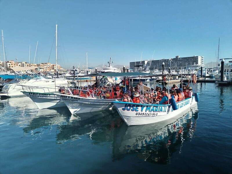 Cabo San Lucas: Classic Tour to the Arch in Glass Bottom - Key Highlights You’ll Care About