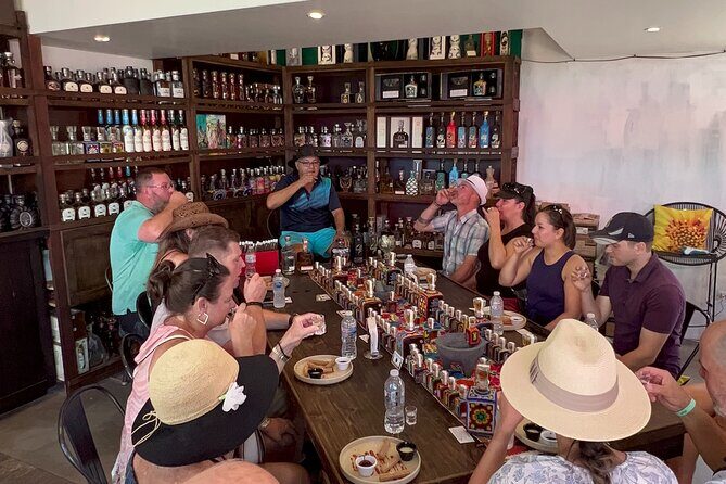 Cabo San Lucas Cocktails, Tequila and Tacos Walking Tour - Small-Group Energy (and Real Guide Power)
