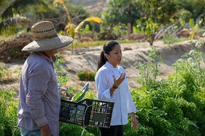 Cabo San Lucas Cooking Classes by Chef Ari - Should You Book This Cabo Cooking Class?