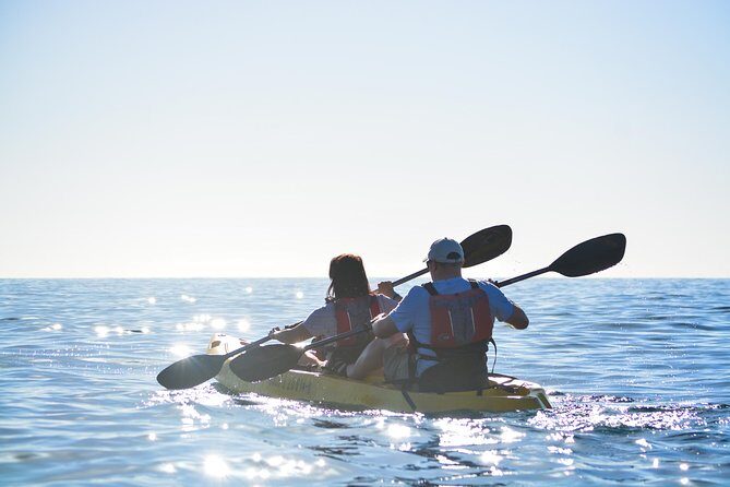 Cabo San Lucas Glass Bottom Kayak Tour and Snorkel at Two Bays - Chileno Bay: Gentle Conditions and a Strong Snorkel Reputation