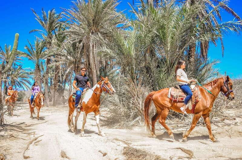 Cabo San Lucas: Horseback Riding in Migriño with Transfers - Smart tips for a comfy, safe ride in Cabo sun