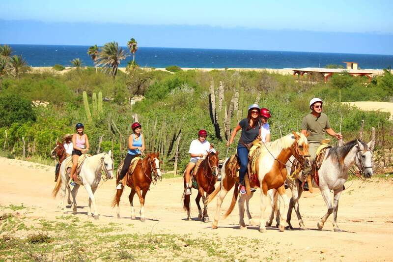 Cabo San Lucas: Horseback Riding in Migriño with Transfers - Van pickup in San José del Cabo or Cabo San Lucas