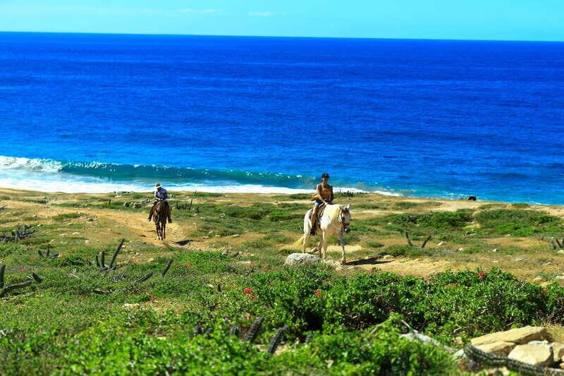 Cabo San Lucas: Horseback Riding in Migriño with Transfers - The 2-hour horseback loop: sand, desert, rocky paths, and that big sea view