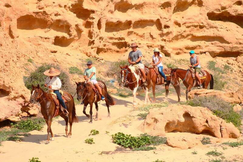 Cabo San Lucas: Horseback Riding in Migriño with Transfers - Flora, fauna, and whale season: what you might spot from the saddle
