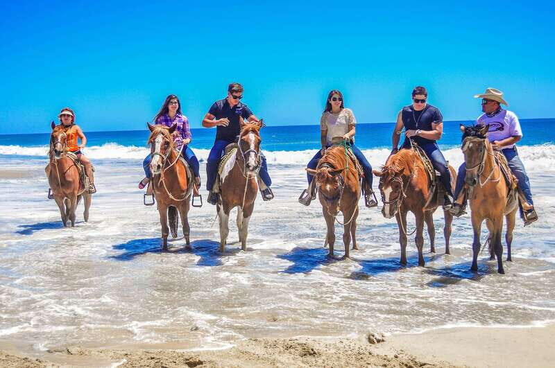Cabo San Lucas: Horseback Riding in Migriño with Transfers - Guides you’ll recognize: Chana, Juan José, Juan Carlos, José Carlos, and Henry