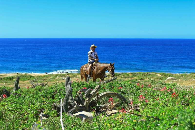 Cabo San Lucas: Horseback Riding in Migriño with Transfers - Price and value: what $87 gets you, and what to budget for