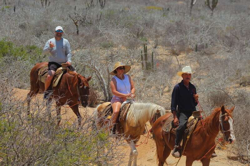 Cabo San Lucas: Horseback Riding in Migriño with Transfers - Who should book this horseback tour in Migriño