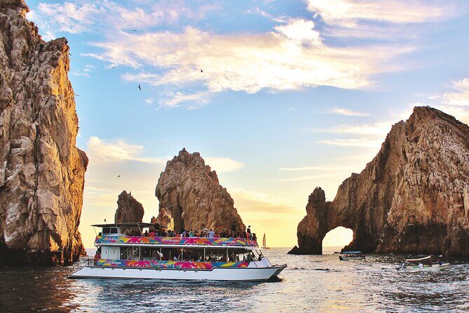 Cabo San Lucas Humpback Whale Watching Tour - Marine biologist on board: what the guide adds (beyond facts)