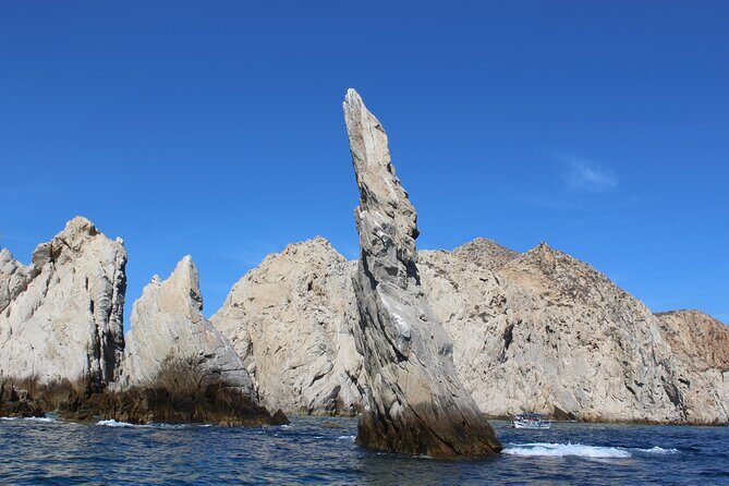 Cabo San Lucas Humpback Whale Watching Tour - Where the best whale viewing usually comes from (and how to set expectations)