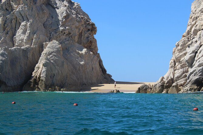 Cabo San Lucas Humpback Whale Watching Tour - Logistics: pickup, tickets, and meeting point basics