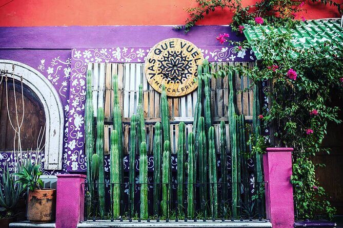 Cabo San Lucas Mezcal Tasting and Cocktail Class - Who’s teaching and what to expect from the group