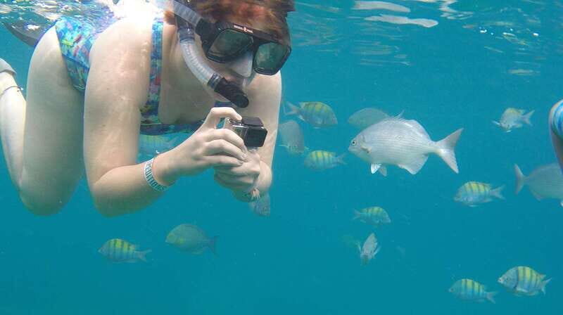 Cabo san Lucas: Paddle Boarding or Kayak and Snorkeling - The beach picnic: simple food, smart recovery