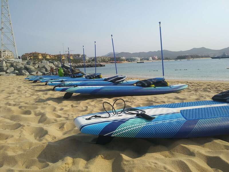 Cabo san Lucas: Paddle Boarding or Kayak and Snorkeling - Price and value: what $78 buys you in Cabo