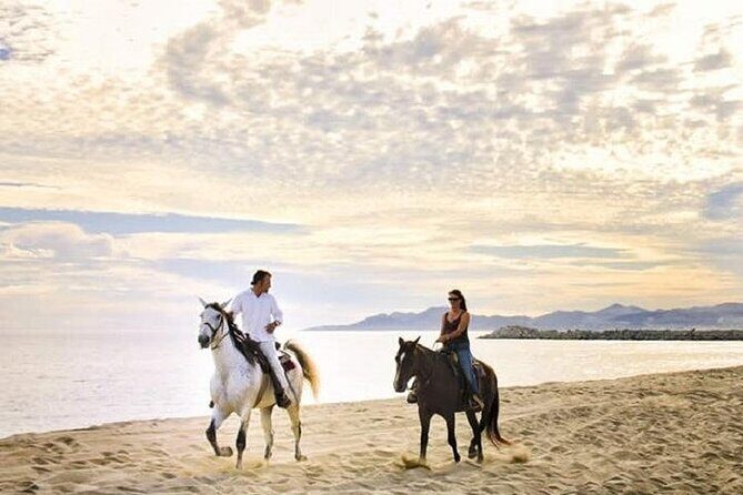 Cabo San Lucas: Pick-2 Adventure Combo - Meeting at G-Force Adventures: Pickup That Can Change Daily