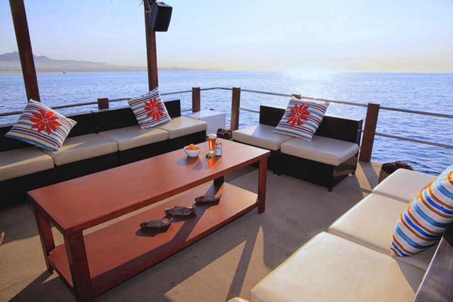 Cabo San Lucas: Private Catamaran Tour with Snorkeling - Wildlife and the “wait, we saw that?” moments