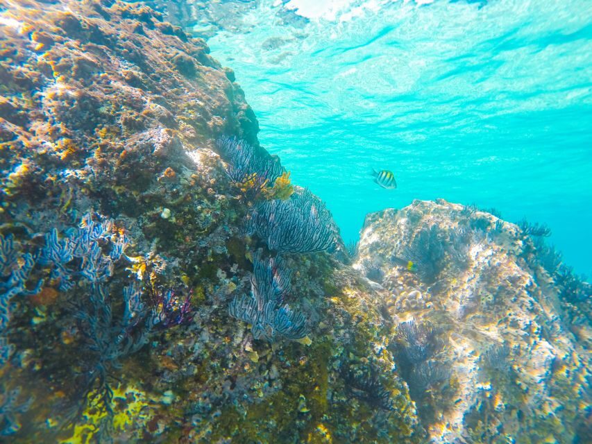 Cabo San Lucas: Private Catamaran Tour with Snorkeling - Medano Beach: the energy you feel without paying it a full visit