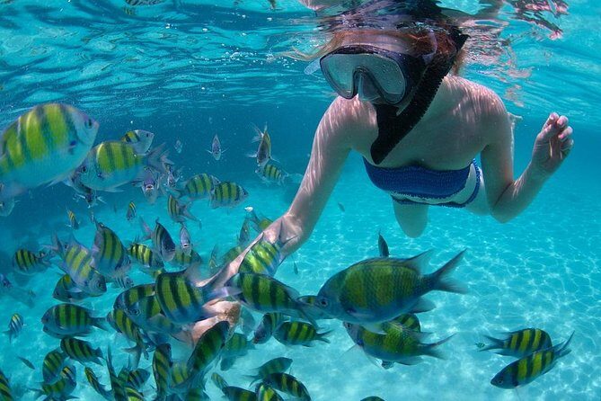 Cabo San Lucas Short Snorkeling Tour with Divemaster Guide - A Calm-Bay Snorkel That Still Feels Like a Real Adventure