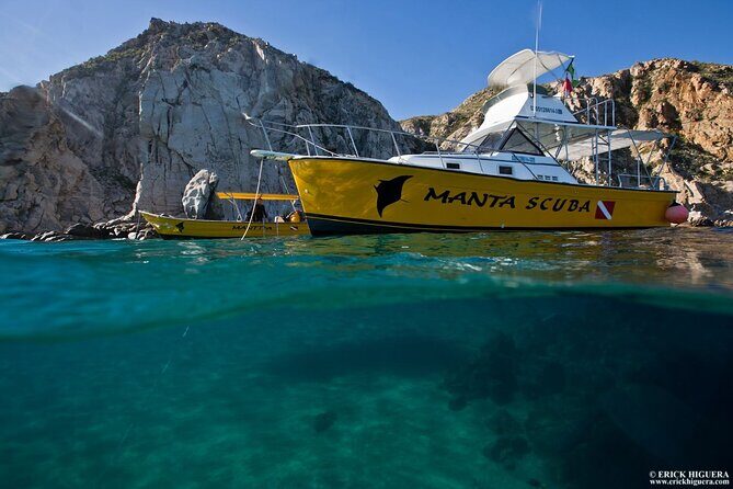 Cabo San Lucas Short Snorkeling Tour with Divemaster Guide - What You’ll See Underwater: Fish Close Enough to Appreciate