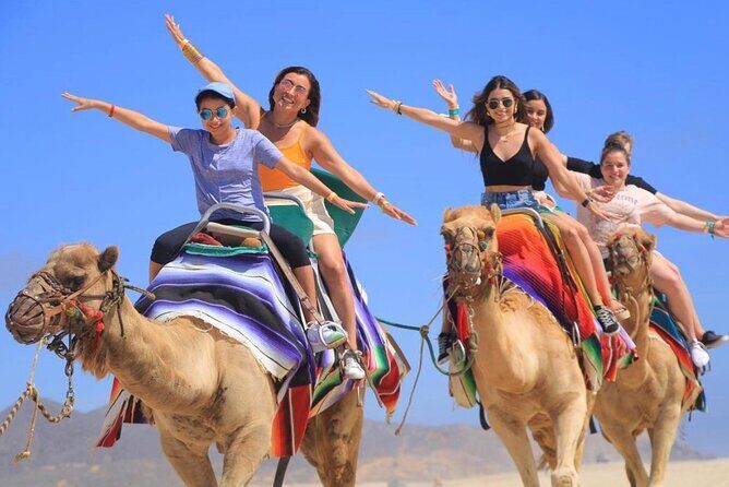 Cabo San Lucas Side by Side and Camel Riding Adventure - Price and the Real Total: $162 Plus Government and Optional Insurance